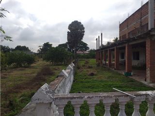 Foto 6 de VENTA FINCA PALMIRA EL BOLO OPORTUNIDAD PRODUCTIVA