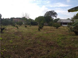Foto 24 de VENTA FINCA PALMIRA EL BOLO OPORTUNIDAD PRODUCTIVA