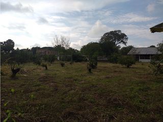 Foto 20 de VENTA FINCA PALMIRA EL BOLO OPORTUNIDAD PRODUCTIVA