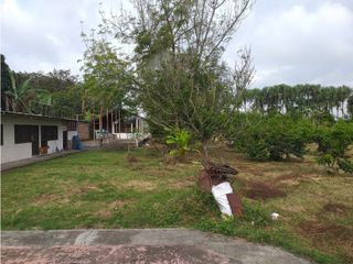 Foto 18 de VENTA FINCA PALMIRA EL BOLO OPORTUNIDAD PRODUCTIVA