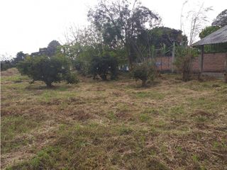 Foto 25 de VENTA FINCA PALMIRA EL BOLO OPORTUNIDAD PRODUCTIVA