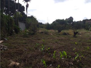 Foto 22 de VENTA FINCA PALMIRA EL BOLO OPORTUNIDAD PRODUCTIVA