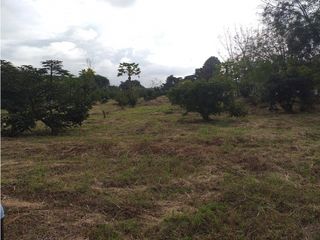 Foto 19 de VENTA FINCA PALMIRA EL BOLO OPORTUNIDAD PRODUCTIVA