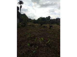 Foto 26 de VENTA FINCA PALMIRA EL BOLO OPORTUNIDAD PRODUCTIVA