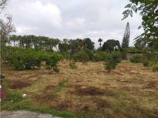 Foto 23 de VENTA FINCA PALMIRA EL BOLO OPORTUNIDAD PRODUCTIVA