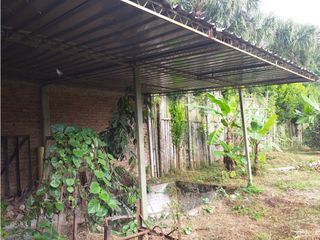 Foto 13 de VENTA FINCA PALMIRA EL BOLO OPORTUNIDAD PRODUCTIVA