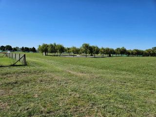 Foto 13 de Terreno en venta - 1000mts2 - Haras del Sur III - La Plata