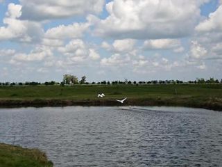Foto 15 de Terreno en venta - 1000mts2 - Haras del Sur III - La Plata