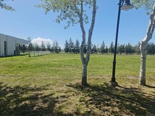 Foto 7 de Terreno en venta - 1000mts2 - Haras del Sur III - La Plata