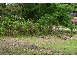 Foto 9 de LOTE PARA LA VENTA EN RICAURTE CUNDINAMARCA.