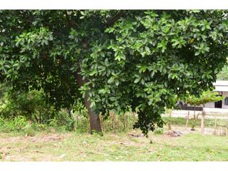Foto 5 de LOTE PARA LA VENTA EN RICAURTE CUNDINAMARCA.