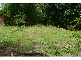 Foto 4 de LOTE PARA LA VENTA EN RICAURTE CUNDINAMARCA.