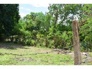 Foto 7 de LOTE PARA LA VENTA EN RICAURTE CUNDINAMARCA.
