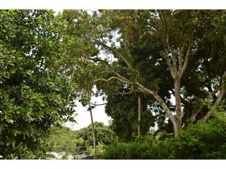 Foto 2 de LOTE PARA LA VENTA EN RICAURTE CUNDINAMARCA.