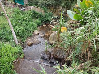 Foto 44 de VENTA FINCA EN MESITAS DEL COLEGIO
