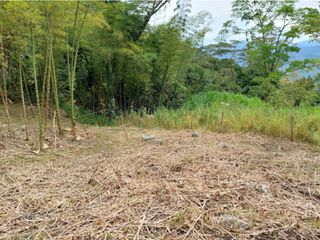 Foto 43 de VENTA FINCA EN MESITAS DEL COLEGIO
