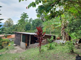 Foto 40 de VENTA FINCA EN MESITAS DEL COLEGIO