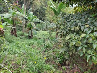 Foto 42 de VENTA FINCA EN MESITAS DEL COLEGIO
