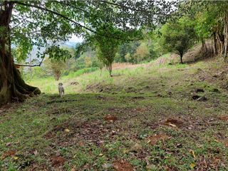 Foto 18 de VENTA FINCA EN MESITAS DEL COLEGIO