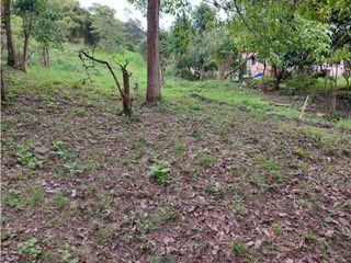Foto 41 de VENTA FINCA EN MESITAS DEL COLEGIO