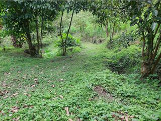 Foto 6 de VENTA FINCA EN MESITAS DEL COLEGIO
