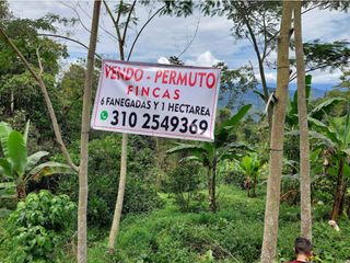 Foto 1 de VENTA FINCA EN MESITAS DEL COLEGIO