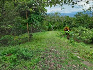 Foto 9 de VENTA FINCA EN MESITAS DEL COLEGIO