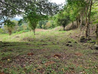 Foto 17 de VENTA FINCA EN MESITAS DEL COLEGIO
