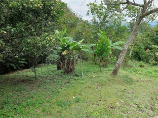 Foto 24 de VENTA FINCA EN MESITAS DEL COLEGIO