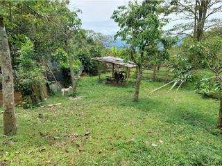 Foto 38 de VENTA FINCA EN MESITAS DEL COLEGIO