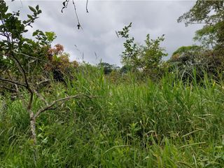Foto 54 de VENTA FINCA EN MESITAS DEL COLEGIO
