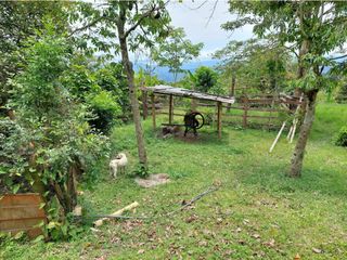 Foto 8 de VENTA FINCA EN MESITAS DEL COLEGIO