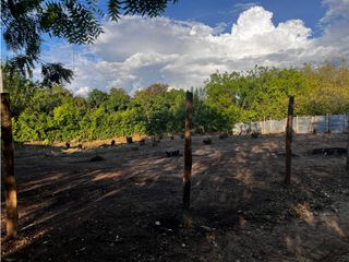 Foto 7 de LOTE RURAL VIA ANTIGUA RIVERA