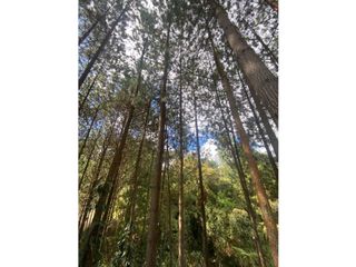 Foto 2 de Venta de Lote en parcelación cerrada en El Retiro, Antioquia