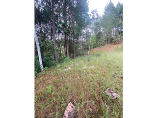 Foto 3 de Venta de Lote en parcelación cerrada en El Retiro, Antioquia