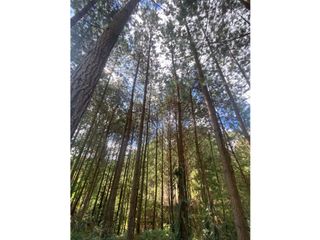 Foto 4 de Venta de Lote en parcelación cerrada en El Retiro, Antioquia
