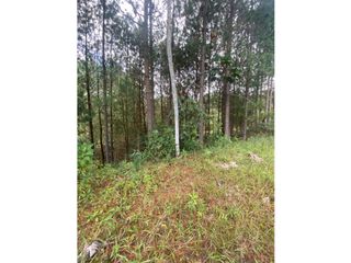 Foto 8 de Venta de Lote en parcelación cerrada en El Retiro, Antioquia