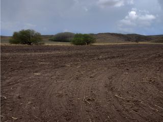 Foto 7 de CAMPO EN VENTA 281 HECTAREAS EN SAN LUIS APTO GANADERIA AGRICULTURA