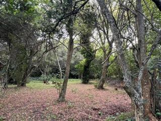 Foto 26 de Casa en venta - 2 Dormitorios 2 Baños - 2.000Mts2 - Punta Indio