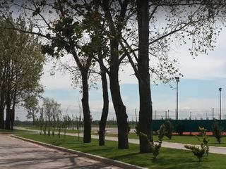 Foto 11 de Terreno en venta - 870mts2 - La Alameda, Canning