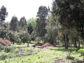Foto 9 de Chacra - Cerro Amigo