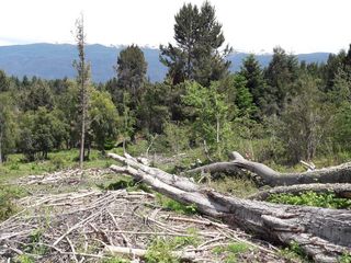 Foto 4 de Chacra - Cerro Amigo