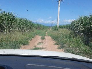 Foto 3 de Campo - Pichanal