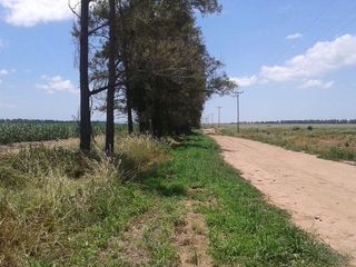 Foto 2 de Campo - Pichanal