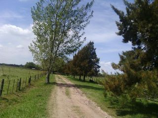 Foto 21 de Campo - San Miguel Del Monte
