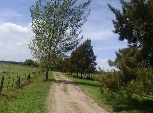 place photo 21