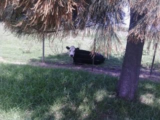 Foto 40 de Campo - San Miguel Del Monte