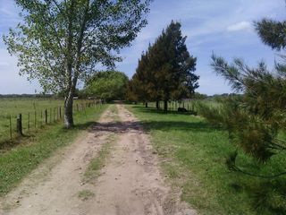 Foto 27 de Campo - San Miguel Del Monte