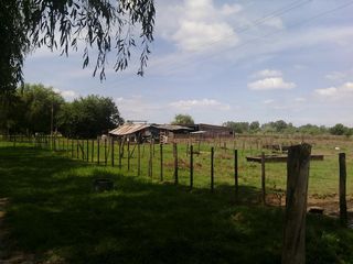 Foto 12 de Campo - San Miguel Del Monte