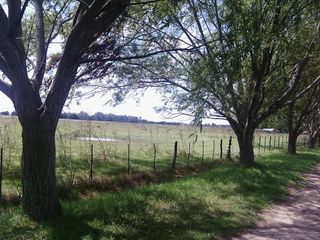 Foto 36 de Campo - San Miguel Del Monte